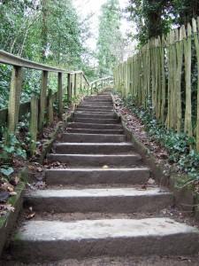 7 steps to finding the right coach-by-nicola-whitaker 7 steps to finding the right life or career personal coach